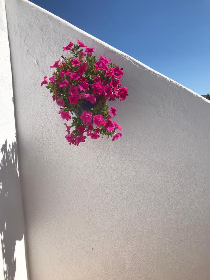 Bonita Casa Adosada Empuriabrava Eksteriør bilde