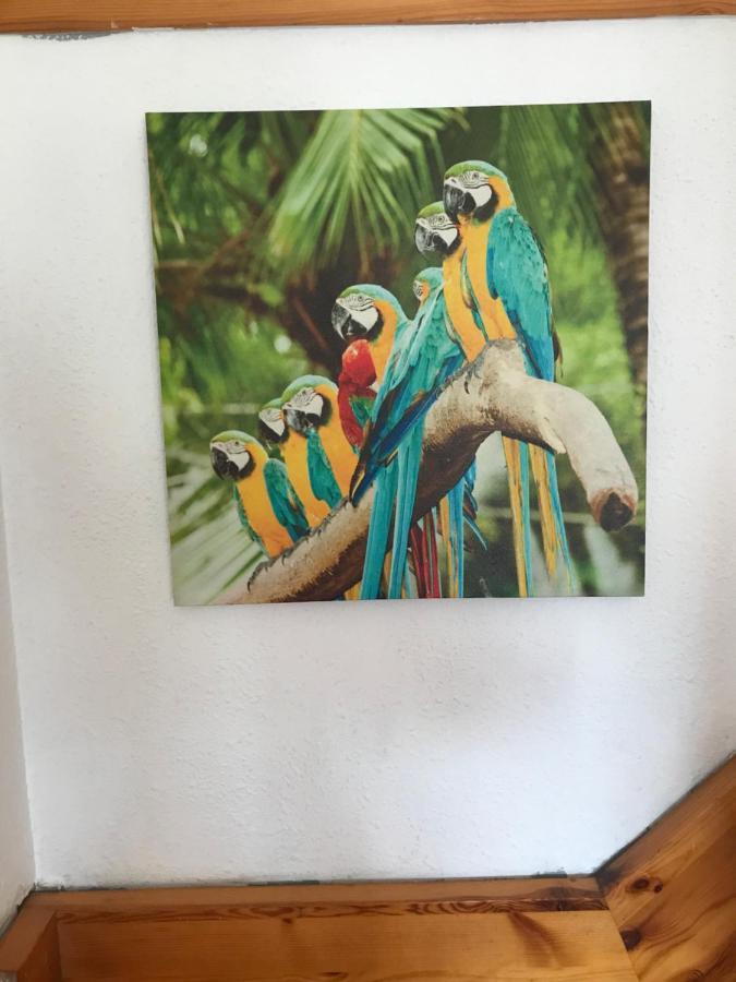 Bonita Casa Adosada Empuriabrava Eksteriør bilde